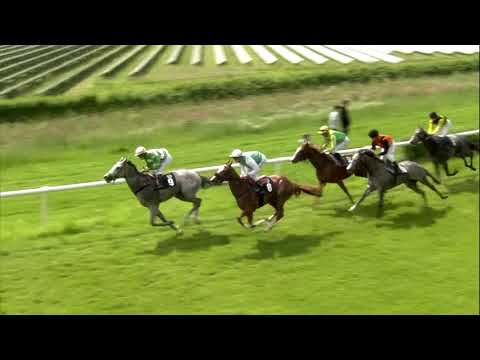 Galopprennbahn Dresden  - 25.05.2019 - Rennen 3