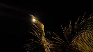 Download lagu tarhim subuh merdu #storywa #vibessubuh mp3