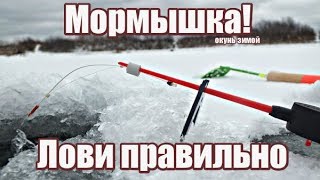 Басс на что лучше ловить окуня в феврале