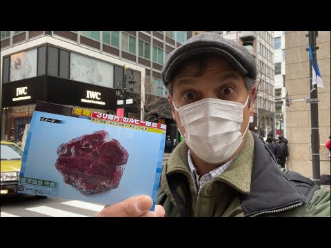 東京犯罪：今天銀座被盜2900萬紅寶石。 (Tokyo Crime: $29M Ruby Stolen in Ginza Today)