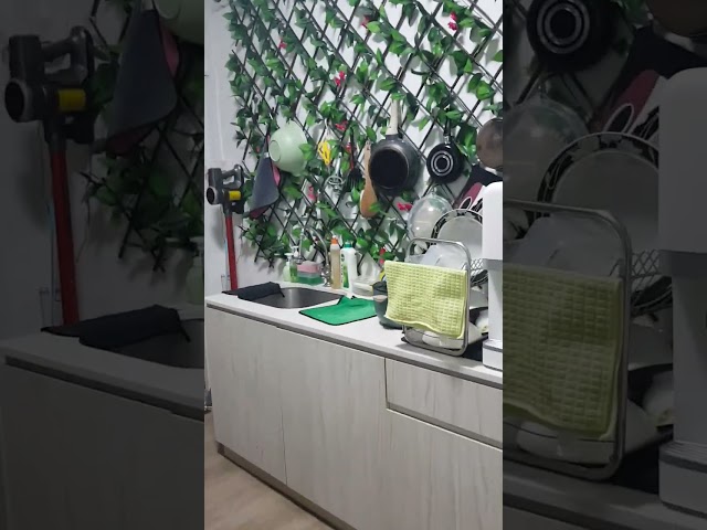 Common Room (Landed) for Rent in River Valley Road - Image 32