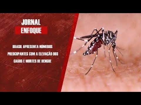 Médico Gonzalo Vecina Neto fala da explosão de casos dengue no Brasil