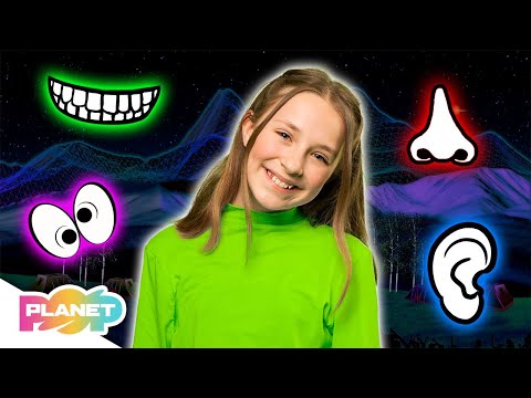 Parts Of The Face Song 👀👃👂 | English For Kids | Planet Pop | Learn English