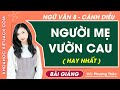 Người mẹ vườn cau Ngữ văn lớp 8 Cánh diều