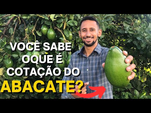 , title : 'ORIENTAÇÕES PARA COMERCIALIZAÇÃO DO ABACATE - como ter sucesso no cultivo do Abacate'