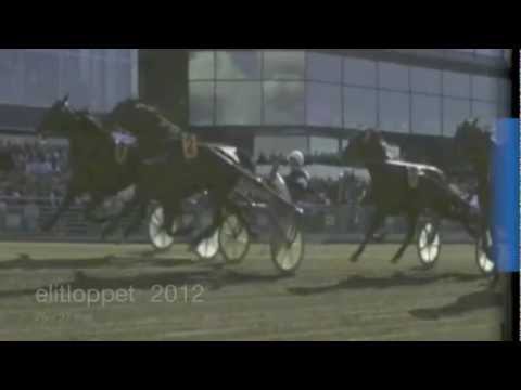 Elitloppet 2012: hästarna