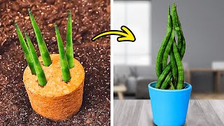 Transform Your Space: Easy Indoor Gardening Hacks for Beginners ☘