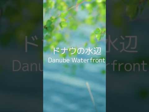 学校教員養成課程 『ドナウの水辺』水口ゆみ "Danube Waterfront"              Yumi Mizuguchi