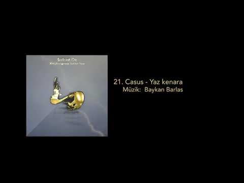 21. Casus - Yaz kenara