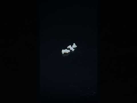 YouTube 썸네일