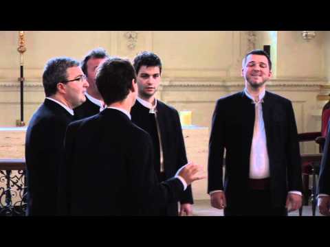 Klapa Motovun - Projdi vilo