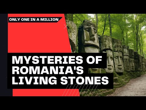 Unveiling the Mysteries of Romania's Living Stones: The Enigma of Trovants