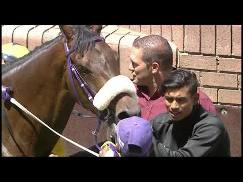 Syx Shooter  - 14 November 2019 - Vaal Turf - Race 2 - 1000m