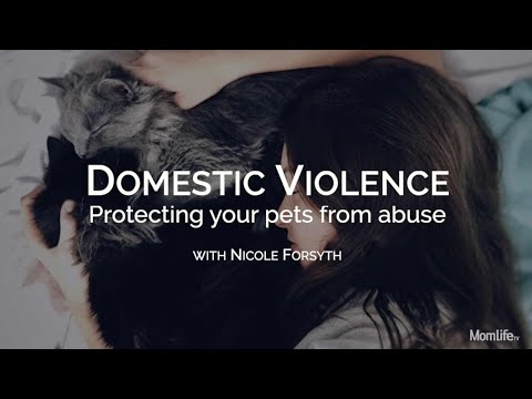 Domestic Violence – Protecting Your Pets from Abuse