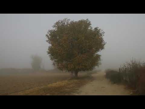 Chrysoula Papadopoulou - Veter da podujne (revision)