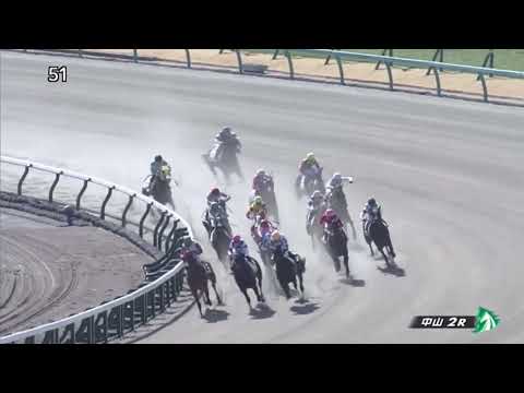 Exult (JPN) wins race 2 at Nakayama 3/6/2022