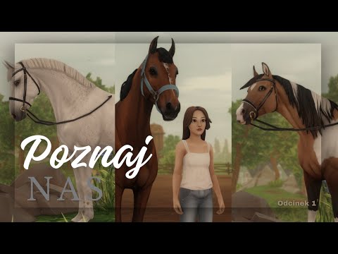 Meet Us | Realistic sso #1