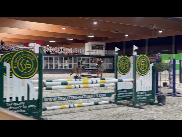 Un Gamin, superbe poney