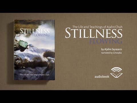 Stillness Flowing | Chapter VI: The Heart of the Matter - Calm and Insight