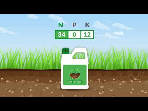 How to Choose Lawn Fertilizer (2 Steps)