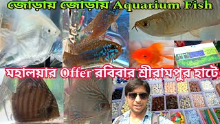 রবিবার শ্রীরামপুরের রঙিন মাছের হাট | Aquarium Fish Price Update | Serampore Aquarium Fish Haat 
