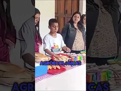 Primera etapa de Huertas y Mesas del Río Santo Domingo #huertasymesas #somosgeografiaviva