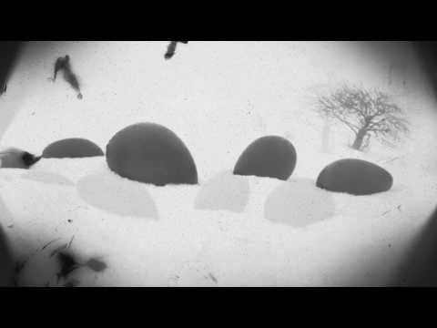 Ptáci - Sbírka motivů / Motive Collection