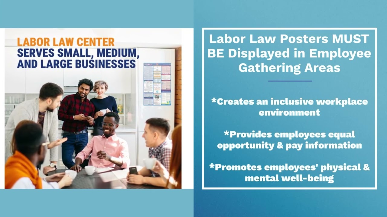 LaborLawCenter 2024 State & Federal Labor Law Poster