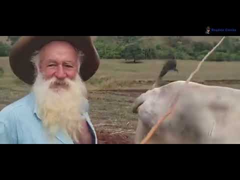 Aração manual a simplicidade e a força que alimenta gerações