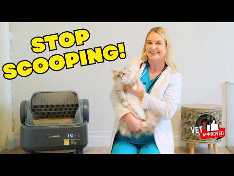 What Pet Experts Say