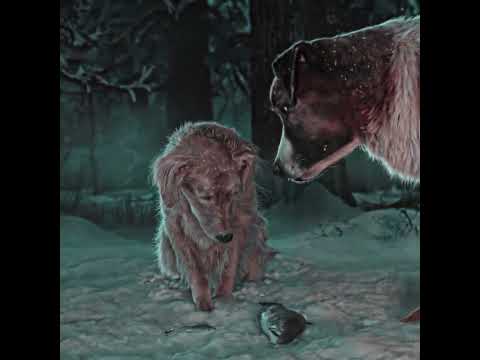 The.Call.of.the.Wild.2020-A Brutal Husky 🐺🔥