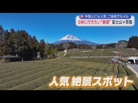 YouTube Video 富士市の「大淵笹場」は人気の絶景スポット　「奇石博物館」で宝石を探し、ご当地グルメ「つけナポリタン」を味わう旅