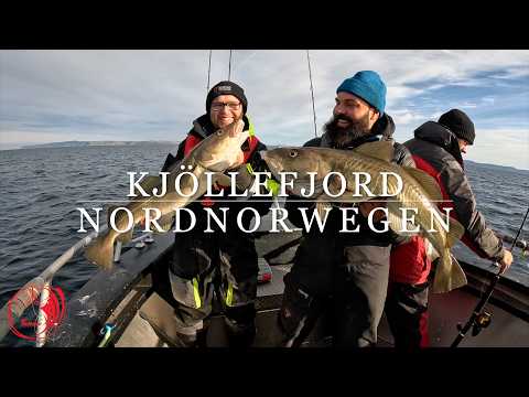 Kjöllefjord-Angelanlage ganz im Norden von Norwegen. Direkt am Fisch 🎣