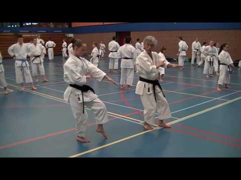 Kata Anan - Training by Soke Yoshimi (Memories)