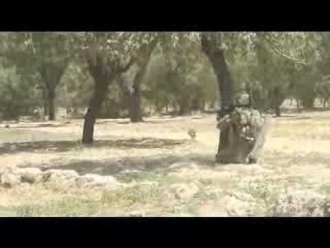 Australian Forces engage the Taliban