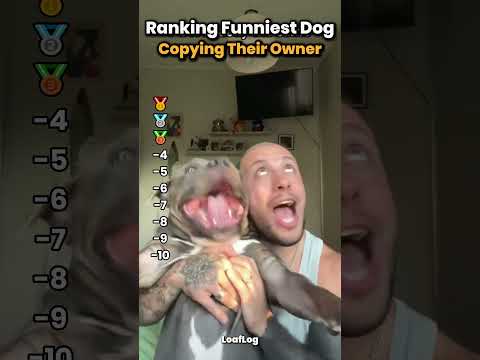 Ranking funniest dog copying their owner #dog