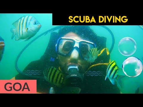 download lagu mp3 mp4 Scuba Diving In Goa India, download lagu Scuba Diving In Goa India gratis, unduh video klip Scuba Diving In Goa India