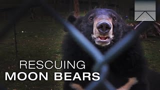 Discovery Channel - Bear Bile Farming