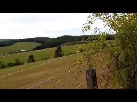 Stempelstelle 86 Bisongehege - Harzer Wandernadel