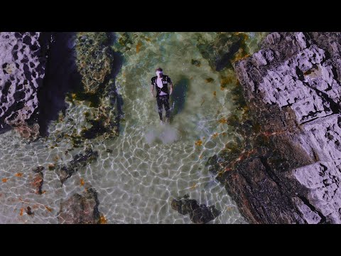 GODIE 08 - POR INSTINTO (Prod. DUALY)