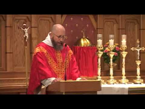 Jun 11 - Homily: Apostle of Consolation