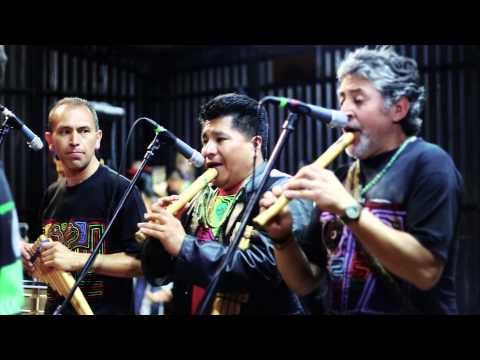 Sol Barniz en Cali 2015   Parte 2