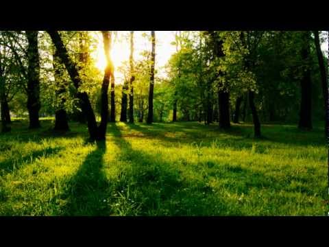 Ashley Wallbridge feat. Audrey Gallagher - Bang The Drum (Omnia Remix)