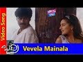 Vevela Mainala Video Song Badri Movie Songs Pawan Kalyan Amisha Patel YOYO TV Music