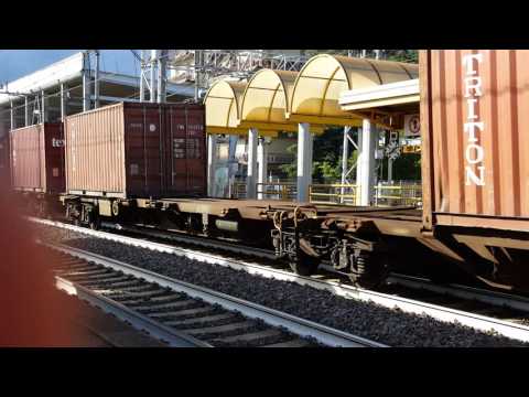 TC a Firenze Castello