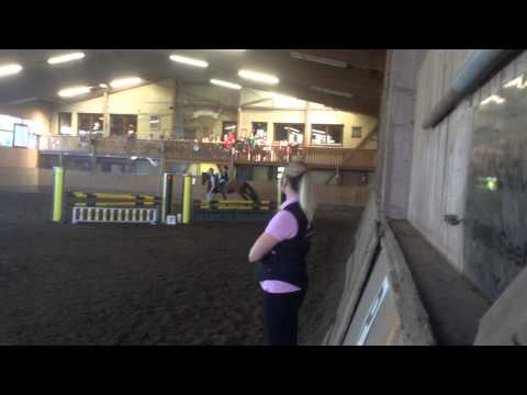 Crespo Holsteiner von Caretino