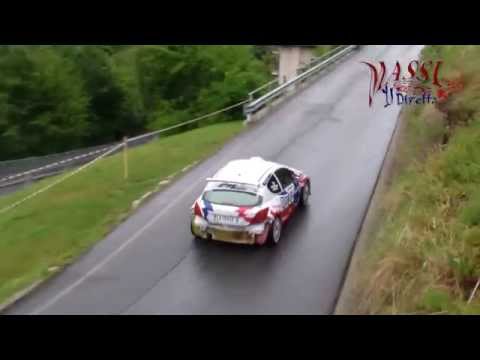 50 Rally Valli Ossolane 2014 - Pure Sound - HD