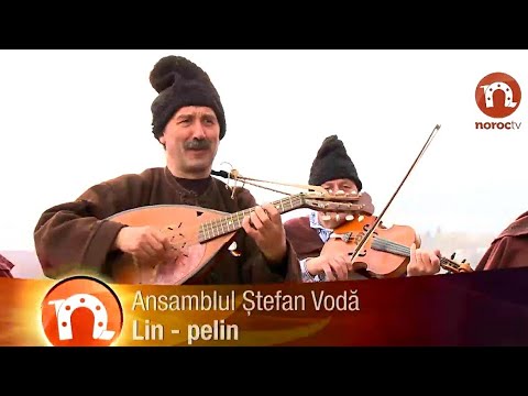 Ansamblul Stefan Voda - Frunza verde lin pelin