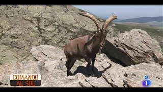 Programa Comando Actualidad (TVE) - Músicos en la Naturaleza 2019