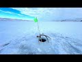 Video Thumbnail for Walleyes pounding hooks / Miles From Anyone